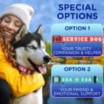 TECEUM Reflective Dog Collar – Lavender – M – Extra Soft Padding – Basic Nylon Dog Collar – Quick Release Buckle – Fits Small, Medium and Large Dogs, Puppies, Cats – ESA & Service Dog Options - Image 9