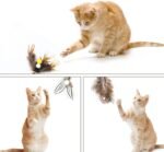 Cat Insect Feather Toys Replacement Cat Toy Wand Refills, 6 Pieces Natural Insect Cat Toy Feathers Refill, Interactive Cat Teaser Wand Attachments, with Bell - Image 7