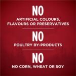 Purina ONE Classic Ground True Instinct Wet Dog Food, Beef & Salmon - 368 g Can (12 Pack) - Image 6