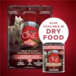 Purina ONE Classic Ground True Instinct Wet Dog Food, Beef & Salmon - 368 g Can (12 Pack) - Image 7