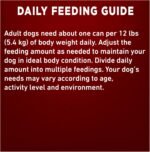 Purina ONE Classic Ground True Instinct Wet Dog Food, Beef & Salmon - 368 g Can (12 Pack) - Image 11