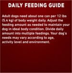 Purina ONE Classic Ground True Instinct Wet Dog Food, Beef & Salmon - 368 g Can (12 Pack) - Image 12