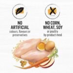 Beyond Simply Natural Dry Cat Food, Farm-Raised Chicken & Whole Oat Meal - 2.72 kg Bag - Image 8