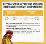 Beyond Simply Natural Dry Cat Food, Farm-Raised Chicken & Whole Oat Meal - 2.72 kg Bag - Image 13