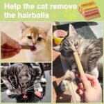 4 Flavors/110g Dehydrated Cat Treats,Natural Crunchy Cat Treats,Chew Sticks for Cats,Cats Dental Healthy and Hairball Control,(Beef,Cat Grass Salmon,Chicken Pumpkin,Chicken Dragon Fruit) - Image 8