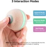 【2025 Upgrade】 Cheerble Interactive Cat Ball Toy, Wicked Ball M3, Automatic Moving Ball Toy for Indoor Cat Kitten, Smart Anti-Depression Pet Toy Fun Gift with Light - Image 4