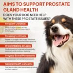 Dog Prostate Drops for Senior & Intact Male Dogs: Prostate & Urinary Tract Issues, Kidney Function, Bladder Control, UTI, Incontinence, Difficulty Urinating, Frequent Peeing - with Cranberry - Image 3