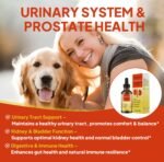 Dog Prostate Drops for Senior & Intact Male Dogs: Prostate & Urinary Tract Issues, Kidney Function, Bladder Control, UTI, Incontinence, Difficulty Urinating, Frequent Peeing - with Cranberry - Image 4
