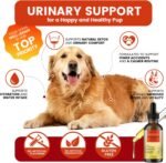 Dog Prostate Drops for Senior & Intact Male Dogs: Prostate & Urinary Tract Issues, Kidney Function, Bladder Control, UTI, Incontinence, Difficulty Urinating, Frequent Peeing - with Cranberry - Image 6
