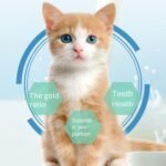 Cat Grass Teething Sticks for Indoor Cats - Natural Dried Catnip Toys, Dental Snacks, Teeth Cleaning Treats for Kittens - Image 5