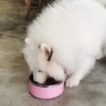 Dog Bowl, Anti-Slip Dog Water Bowl and Food Bowl, Non-Rusting Stainless Steel Dog Bowls, Durable and Easy to Clean, Suitable for Medium and Large Dogs (40Ounces, Pink) - Image 3