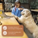 Wildfang® Olive Wood Chewing Sticks for Dogs, M – Tough Chew Toys for Aggressive Chewers, Puppy Chew Toys for Teething, Training for Chewing Muscles, Olive Wood Stick for Dogs 15–25 kg (Pack of 3) - Image 4