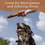 Wildfang® Olive Wood Chewing Sticks for Dogs, M – Tough Chew Toys for Aggressive Chewers, Puppy Chew Toys for Teething, Training for Chewing Muscles, Olive Wood Stick for Dogs 15–25 kg (Pack of 3) - Image 5