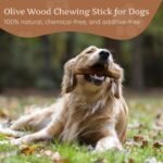 Wildfang® Olive Wood Chewing Sticks for Dogs, M – Tough Chew Toys for Aggressive Chewers, Puppy Chew Toys for Teething, Training for Chewing Muscles, Olive Wood Stick for Dogs 15–25 kg (Pack of 3) - Image 7