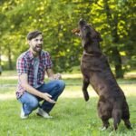 Wildfang® Olive Wood Chewing Sticks for Dogs, M – Tough Chew Toys for Aggressive Chewers, Puppy Chew Toys for Teething, Training for Chewing Muscles, Olive Wood Stick for Dogs 15–25 kg (Pack of 3) - Image 9