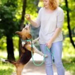 Heavy Duty Dog Leash - Durable & Reliable Pet Leash for Walking, Training & Control - Reflective for Safety - Adjustable Length - Comfortable Handle - Suitable for Large & Small Dogs (Green) - Image 6