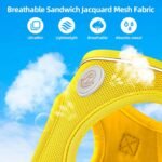 Dog Harness with Leash Set, No Pull Adjustable Reflective Step-in Puppy Pet Vest Harnesses for Small Medium Large Dogs and Cats - Yellow, XS - Image 5