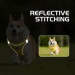 Dog Harness with Leash Set, No Pull Adjustable Reflective Step-in Puppy Pet Vest Harnesses for Small Medium Large Dogs and Cats - Yellow, XS - Image 6