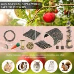 Hamster Toys Rat Toys Chinchilla Toys Hamster Chew Toys Cage Accessories Apple Wood Sticks Ladder Bell Roller for Gerbil Guinea Pigs and Other Small Animal - Image 4