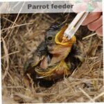 Baby Bird Feeding Kit with Syringe & Spoons, 6PCS 20ml Hand Feeding Device for Sick Parrots & Birds - Image 4