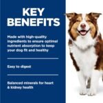 Hill's Science Diet Adult 7+, Senior Adult 7+ Premium Nutrition, Wet Dog Food, Beef & Vegetables Stew, 12.8 oz Can, Case of 12 - Image 5