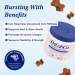 Petlab Co. Joint Care Chews, High Levels of Glucosamine for Dogs, Green Lipped Mussels, Omega 3 and Turmeric, Dog Hip and Joint Supplement to Actively Support Mobility, Packaging May Vary - Image 3