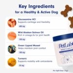 Petlab Co. Joint Care Chews, High Levels of Glucosamine for Dogs, Green Lipped Mussels, Omega 3 and Turmeric, Dog Hip and Joint Supplement to Actively Support Mobility, Packaging May Vary - Image 4