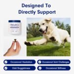 Petlab Co. Joint Care Chews, High Levels of Glucosamine for Dogs, Green Lipped Mussels, Omega 3 and Turmeric, Dog Hip and Joint Supplement to Actively Support Mobility, Packaging May Vary - Image 5