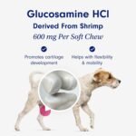 Petlab Co. Joint Care Chews, High Levels of Glucosamine for Dogs, Green Lipped Mussels, Omega 3 and Turmeric, Dog Hip and Joint Supplement to Actively Support Mobility, Packaging May Vary - Image 8