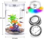 Betta Fish Tank, 360 Aquarium With LED Light, 1 Gallon Fish Bowl, Small Starter Kit, Self-Cleaning Beta Tank for Desktop Decoration in Office, Home, Room Decor - Image 5