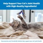 Nutramax Cosequin Joint Health Supplement for Cats - with Glucosamine and Chondroitin, 80 Capsules - Image 3