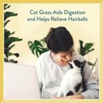 Pet Greens Treats Savory Salmon Semi-Moist Cat Treats - Image 4