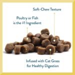 Pet Greens Treats Savory Salmon Semi-Moist Cat Treats - Image 5