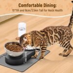 Marchul 2-in-1 Dog Bowl, Elevated Cat Food and Water Bowl with No-Spill Mat, 15° Tilt Stainless Steel Dish + 500ml Leak-Proof Bottle, Easy Clean Design (Dry/Wet Food & Water) - Image 3