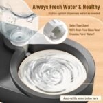 Marchul 2-in-1 Dog Bowl, Elevated Cat Food and Water Bowl with No-Spill Mat, 15° Tilt Stainless Steel Dish + 500ml Leak-Proof Bottle, Easy Clean Design (Dry/Wet Food & Water) - Image 6