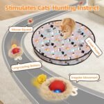 Interactive Cat Toys for Indoor Cats-Hide and Seek Game with 5-Holes Mat,Mouse-Squeak Interactive Cat Toy Ball,Pounce Pal Cat Toy Interactive,Motion-Activated - Image 4