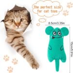 6 Pcs Cat Toys Cat Chew Catnip Toys, Interactive Cat Toys Bite Resistant for Indoor, Plush Cartoon Pet Catnip Teeth Cleaning Toys for Kitten Puppy Small Pets - Image 3