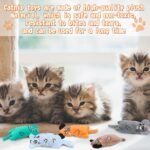 6 Pcs Cat Toys Cat Chew Catnip Toys, Interactive Cat Toys Bite Resistant for Indoor, Plush Cartoon Pet Catnip Teeth Cleaning Toys for Kitten Puppy Small Pets - Image 6