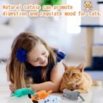 6 Pcs Cat Toys Cat Chew Catnip Toys, Interactive Cat Toys Bite Resistant for Indoor, Plush Cartoon Pet Catnip Teeth Cleaning Toys for Kitten Puppy Small Pets - Image 7