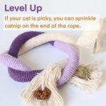 Cat Toys for Indoor Cats, Kitten Toys for Indoor Kittens, Catnip Rope Chew Toys for Teeth Cleaning, Interactive Cat String Toy, Kitty Kicker Toy, 3 Pack (Plus 3 Pouches of Catnip) - Image 5