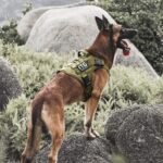 OneTigris Tactical Dog Harness for Large Dogs,FIRE Watcher 2.0 No-Pull Dog Harness Vest with Hook & Loop Panels, Military Dog Harness Adjustable Dog Vest Walking Hiking Training (Olive,Medium) - Image 7