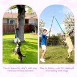 Dog Tug Toy, Bungee Dog Rope Toys, Interactive Tug of War Rope Toys for Training and Playing Games, Puppy Training Pull Toy for Small Medium Dogs (Blue) - Image 4