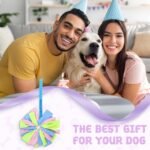 Dog Tug Toy, Bungee Dog Rope Toys, Interactive Tug of War Rope Toys for Training and Playing Games, Puppy Training Pull Toy for Small Medium Dogs (Blue) - Image 6