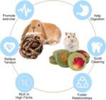 Rabbit Chew Toys, Natural Bunny Chew Toys, Hamster Chew Toys Set, Small Pets Teeth Care Molar Exercise Bunny Toys for Rabbits, Guinea Pig, Hamster and Other Small Animals (19PCS) - Image 3