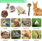 Rabbit Chew Toys, Natural Bunny Chew Toys, Hamster Chew Toys Set, Small Pets Teeth Care Molar Exercise Bunny Toys for Rabbits, Guinea Pig, Hamster and Other Small Animals (19PCS) - Image 4