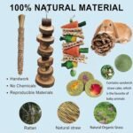 Rabbit Chew Toys, Natural Bunny Chew Toys, Hamster Chew Toys Set, Small Pets Teeth Care Molar Exercise Bunny Toys for Rabbits, Guinea Pig, Hamster and Other Small Animals (19PCS) - Image 5