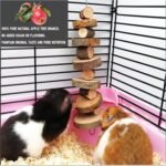 Rabbit Chew Toys, Natural Bunny Chew Toys, Hamster Chew Toys Set, Small Pets Teeth Care Molar Exercise Bunny Toys for Rabbits, Guinea Pig, Hamster and Other Small Animals (19PCS) - Image 7