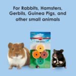 Kaytee Mini Salt Savors, 4-Pack - Image 5