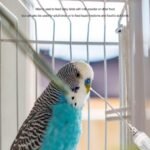 Manual Feeding Syringe Set Feeding Tubes with Curved Gavage Tubes and Stainless Steel Metal Feeding Spoon For Baby Birds Parrot Small Pet - Image 7