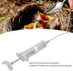 Manual Feeding Syringe Set Feeding Tubes with Curved Gavage Tubes and Stainless Steel Metal Feeding Spoon For Baby Birds Parrot Small Pet - Image 8